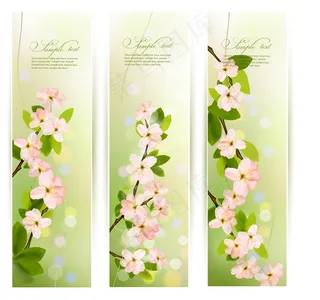 春天的花朵的旗帜