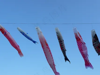 鲤鱼旗图片