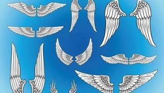 矢量艺术的翅膀