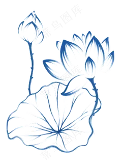 青莲手绘纯线条莲花荷叶,免抠元素