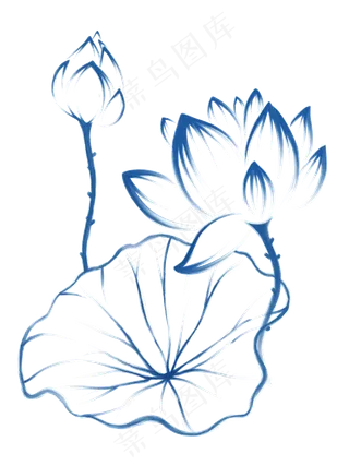 青莲手绘纯线条莲花荷叶,免抠元素