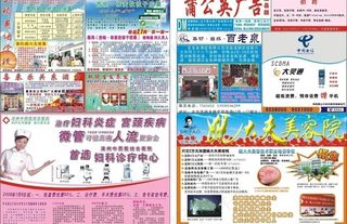 蒲公英广告dm报纸图片