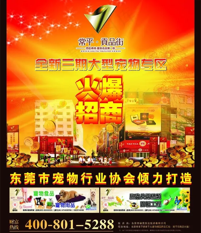 宠物区火爆 招商 海报图片(210X297)cdr矢量模版下载