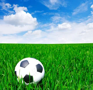 草地上的足球图片