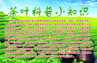 茶叶科普小知识图片