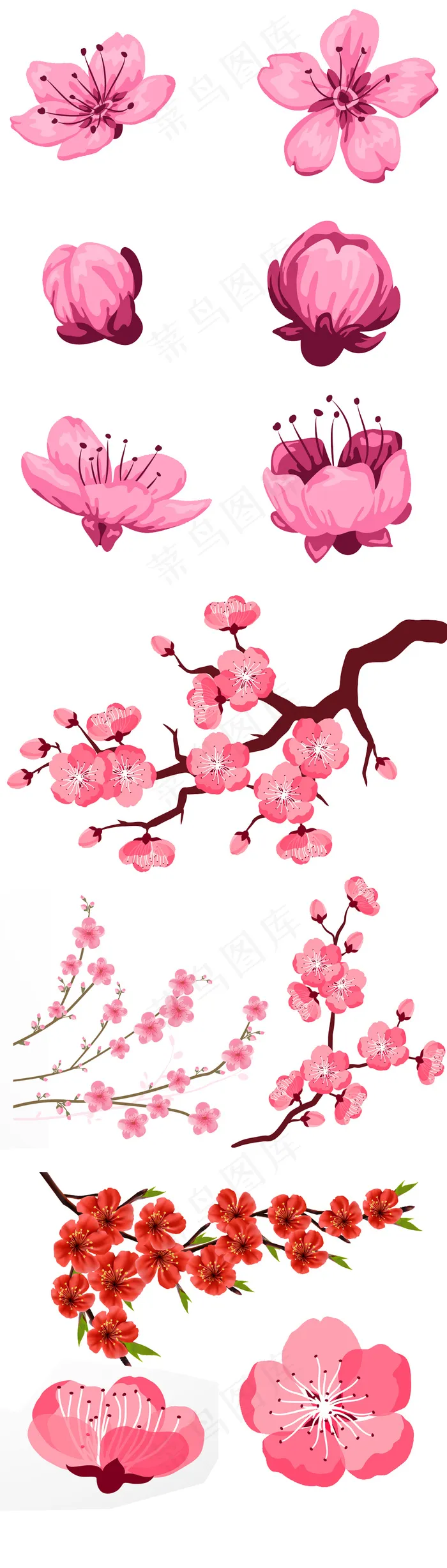 浪漫粉红色桃花梅花樱花花朵图片素材ai矢量模版下载