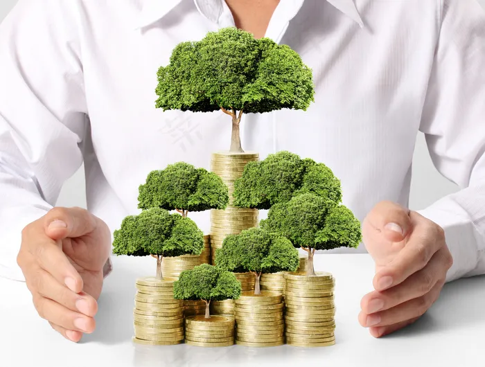 金币嫩芽小树苗孵化培育理财商务金融财富主题素材