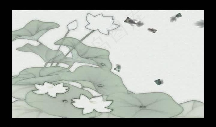水墨荷花金鱼视频图片