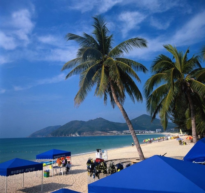 海景海滩椰子树图片