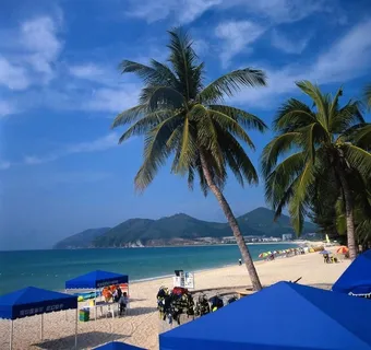 海景海滩椰子树图片 海景海滩椰子树图片