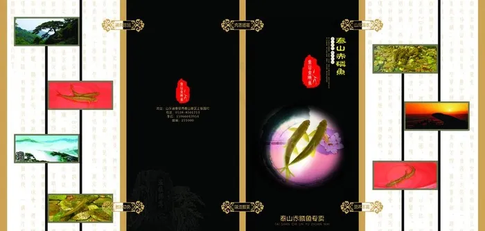 泰山赤磷鱼图片