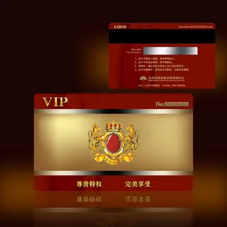高档的VIP系列模板1