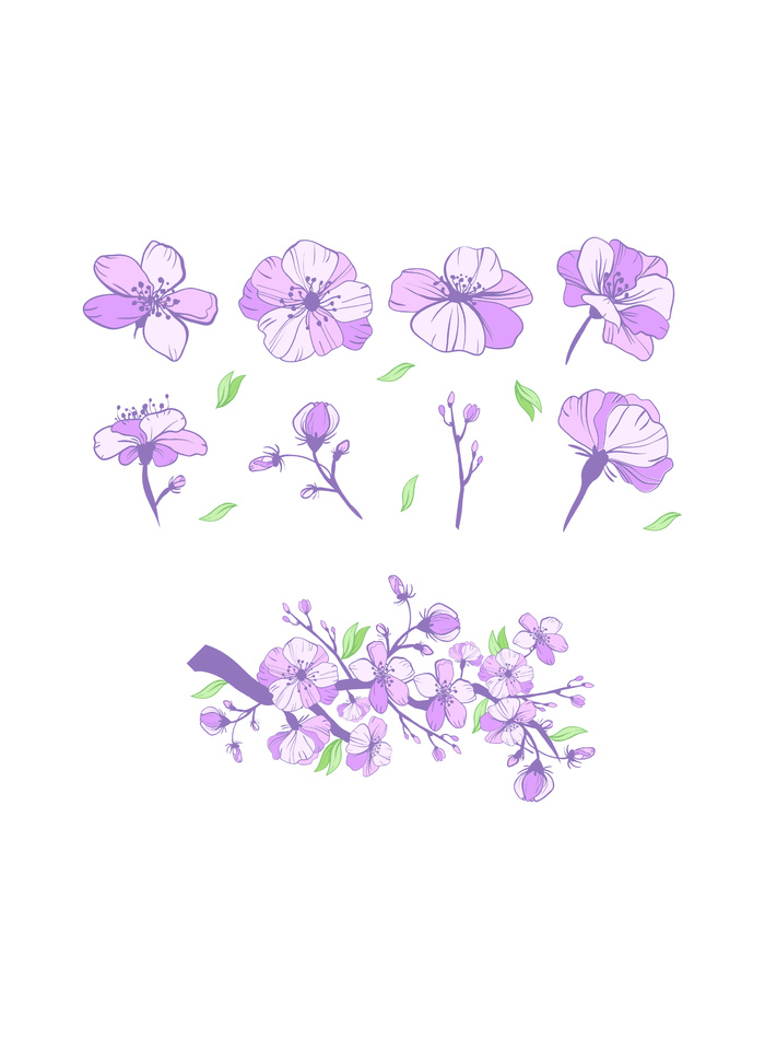 工笔画植物花卉素材