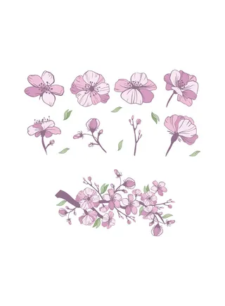 工笔画植物花卉素材