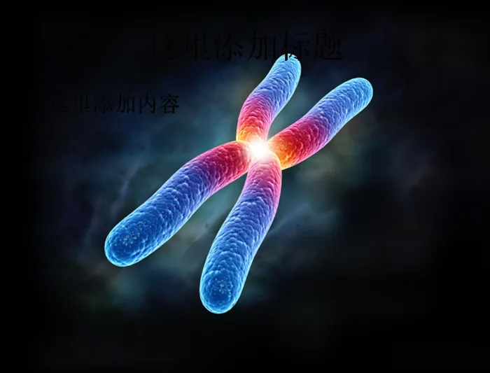 DNA
