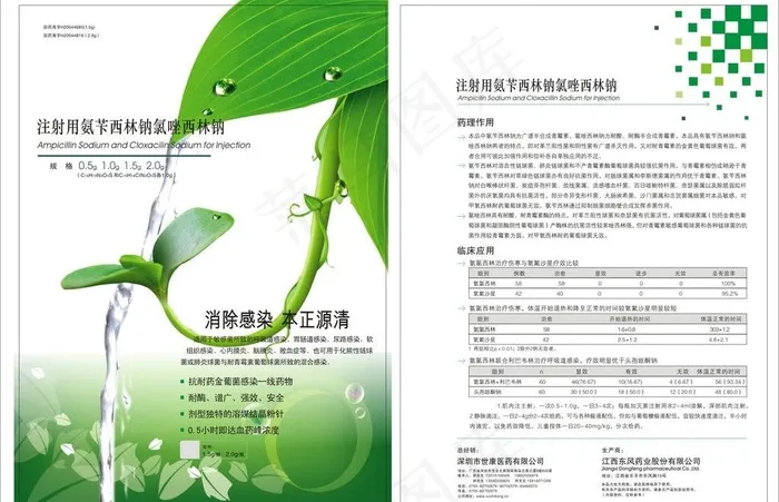 药品宣传单图片cdr矢量模版下载