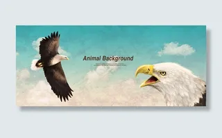 雄鹰展翅模板