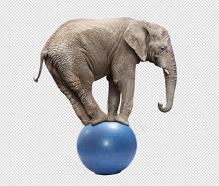 站在球上的大象PNG免扣素材