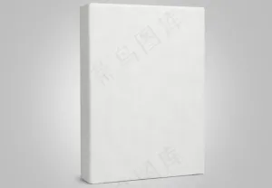 模板贴图 书壳封套（效果图）图片