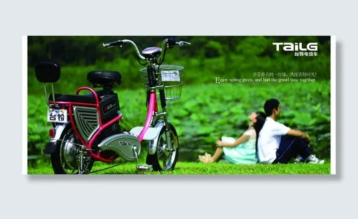 台铃电动车图片 台铃电动车图片