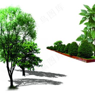 树木素材