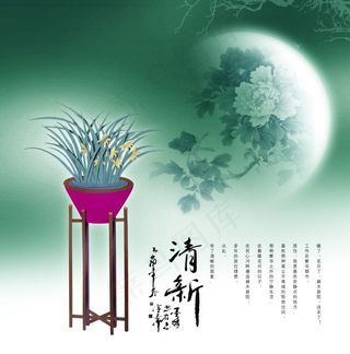 清新兰花宣传海报PSD素材