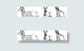 奔跑的羚羊剪贴画