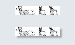 奔跑的羚羊剪贴画