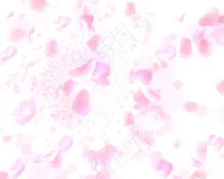 婚礼背景素材下载