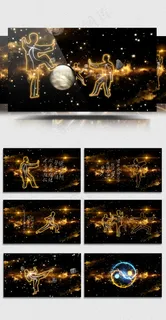 2018陨石中国武术表演视频素材