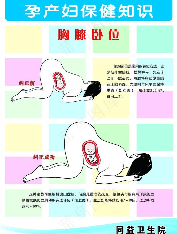 孕产妇保健知识图片cdr矢量模版下载