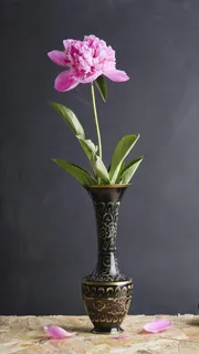 花高清摄影图片 (3)