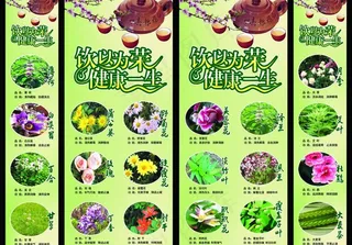 药店草药展板图片