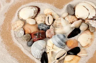 沙滩爱心贝壳图片