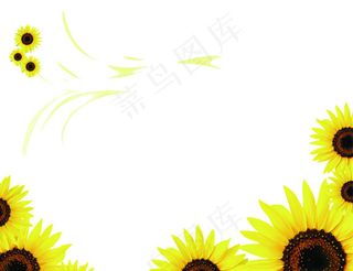 葵花素材