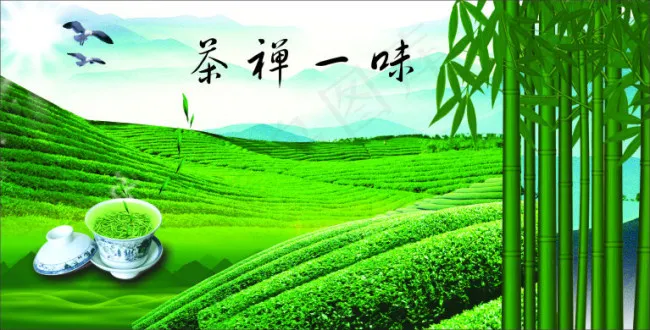 茶园