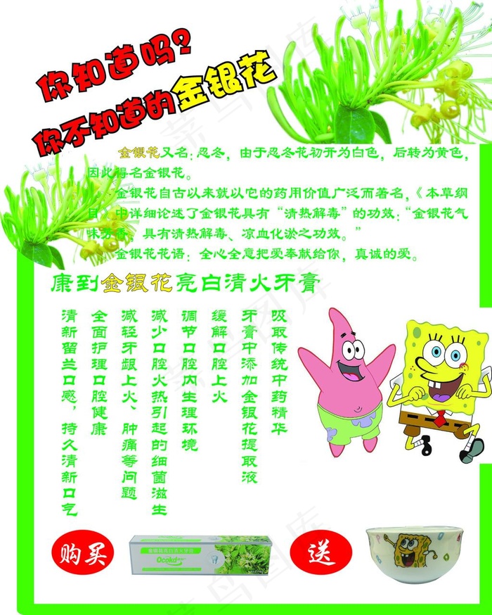 金银花海报ai矢量模版下载