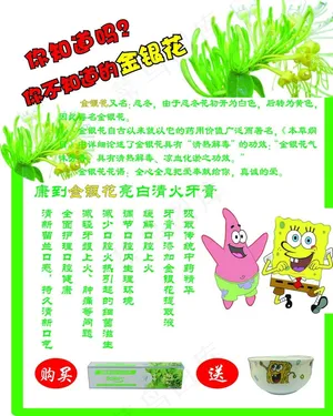 金银花海报