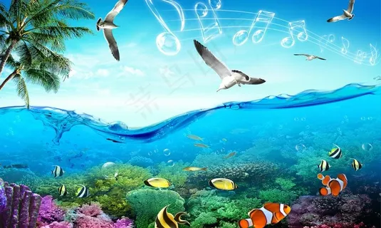 夏日海韵图片 夏日海韵图片