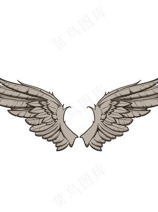 翅膀图案