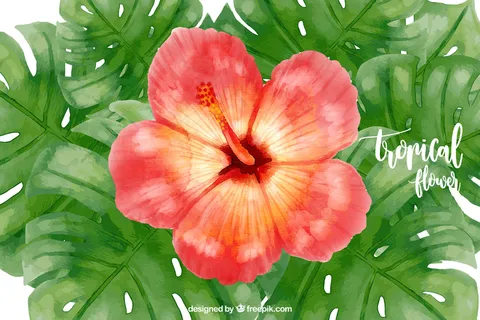 绿色背景矢量图