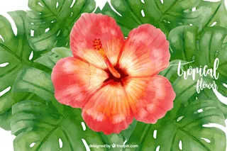 绿色背景矢量图