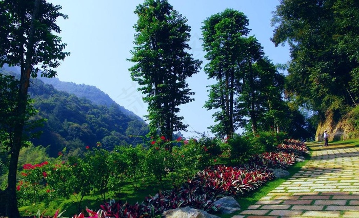 桥溪村风景