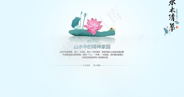 水木清华 荷花图片