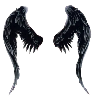 黑色美工视觉设计翅膀免扣元素
