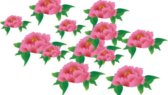 精美牡丹花绘制图片