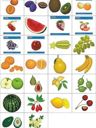 好看的|可以吃的水果图片