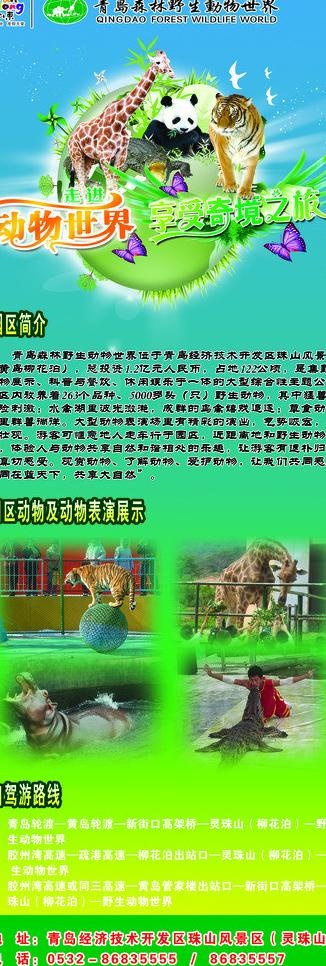 动物园x展架图片(2363X6298(DPI:100))psd模版下载