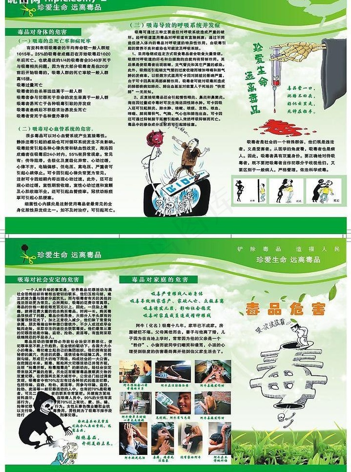 毒品危害三折页图片cdr矢量模版下载