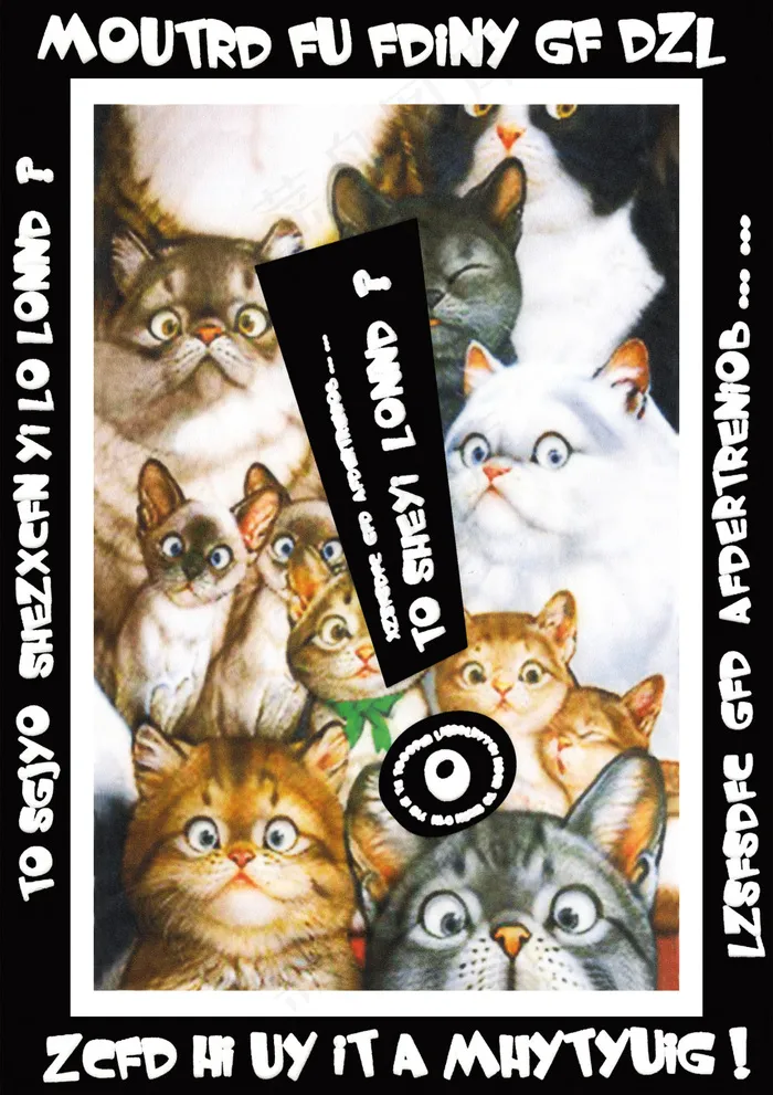 猫